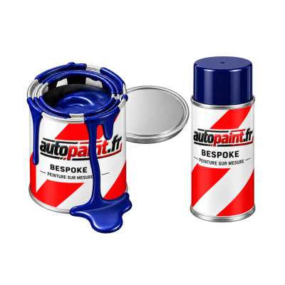 Pot de peinture et aérosol Autopaint BESPOKE